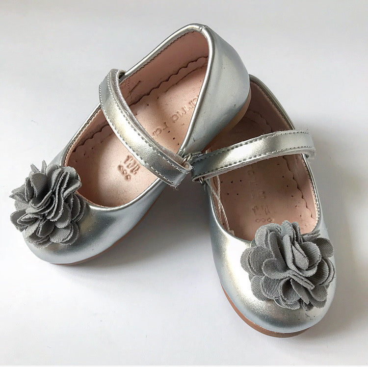 SILVER SHOES